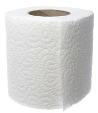 Toilet paper 