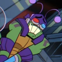 Donnie rottmnt