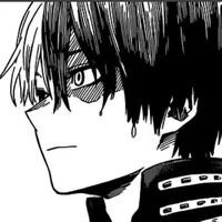Shoto Todoroki