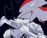 Shadow The Hedgehog