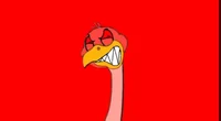 Ozzie ostrich 