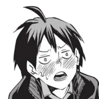 Yamaguchi Tadashi BR