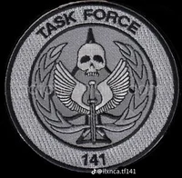 Task Force 141
