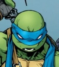 IDW Leonardo 