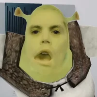 Roomie Shrek 