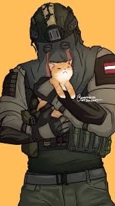 Konig - Cat