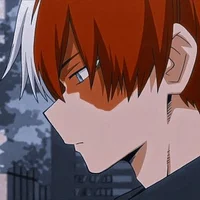 Shoto Todoroki MHA