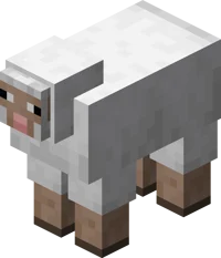 Minecraft Sheep