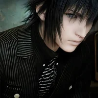 Noctis Lucis Caelum