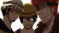 Kid Law Luffy