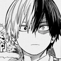 Shoto Todoroki