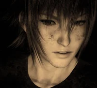 Noctis Lucis Caelum