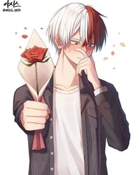 Shoto Todoroki