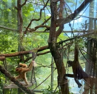 Zoo