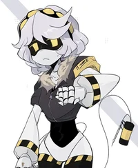 Serial designacion V