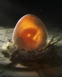 Dragon Egg