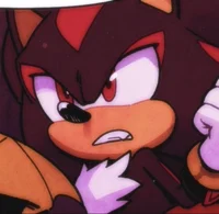 Shadow the Hedgehog