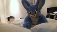 Buster lapin Fursuit