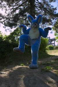 Buster lapin Fursuit