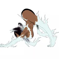 Yoruichi Shihouin