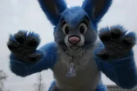 Buster lapin Fursuit