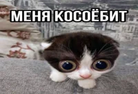 Chulka_гаденыш