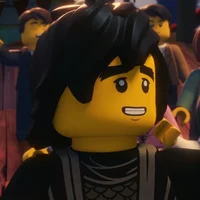 Cole Bucket Ninjago