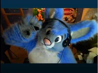 Buster lapin Fursuit