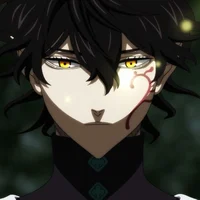 Рыцарь чародея Юна