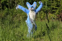 Buster lapin Fursuit