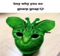 Gnarpy