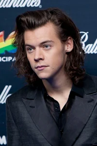 Harry Styles Mr Ceo