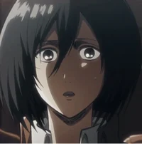 Mikasa