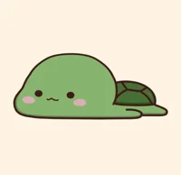Cute turtle 