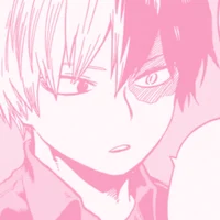 Shoto Todoroki 