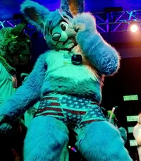 Buster lapin Fursuit