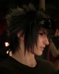 Noctis Lucis Caelum