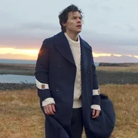 Harry Styles 
