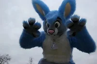 Buster lapin Fursuit