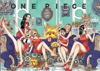 One Piece Hot-Spring