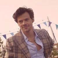 Harry Styles 