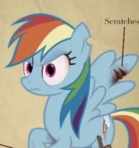 Foul fillies Rainbow