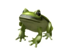 roblox frog