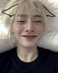 Hybrid Jeongin 
