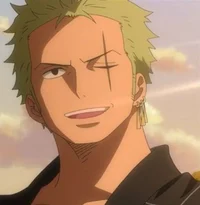 Zoro Roronoa 