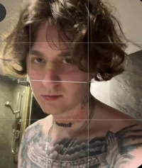 Рома Бендер