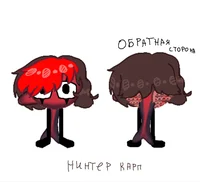 Нинтер Карп