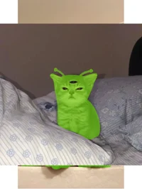 Alien cat