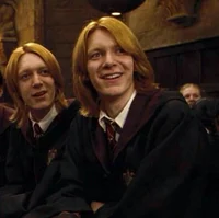 The Weasley Brothers