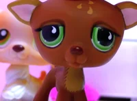 LPS popular Nathan 